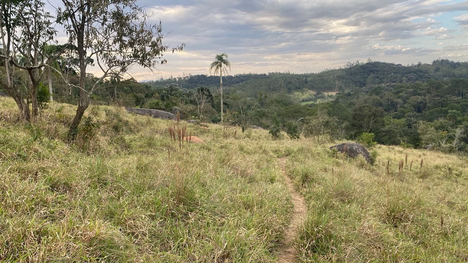 Fazenda Viaduto com 200.000 m² em Suzano